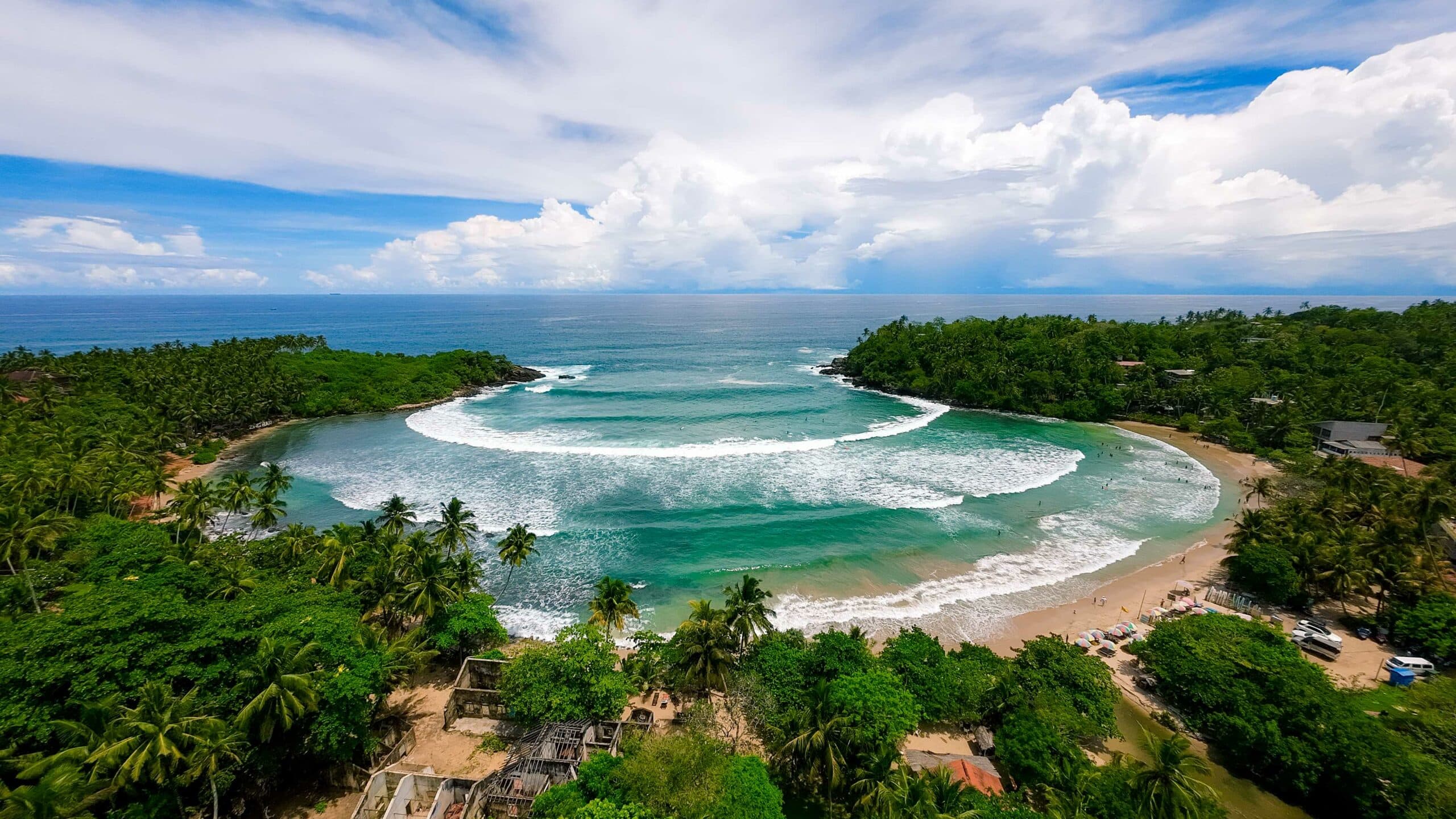 Surfing Lessons