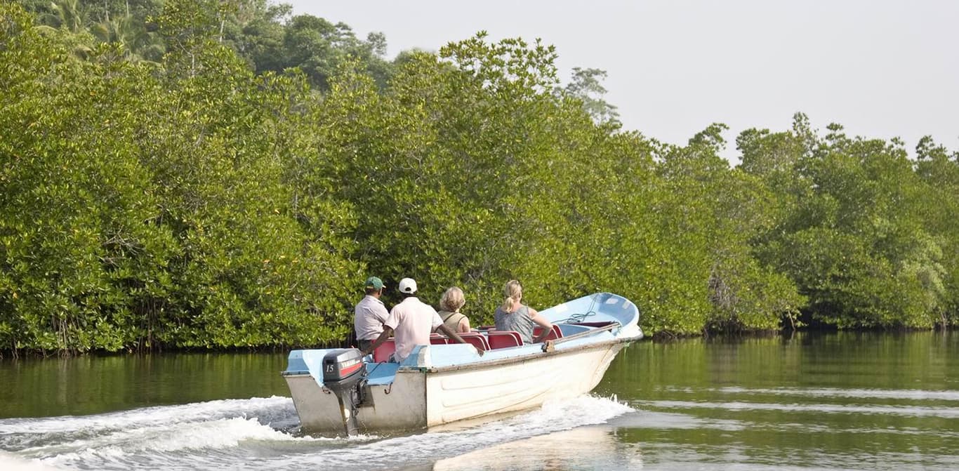 Boat Tours
